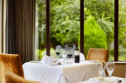 book Shamrock Lodge Hotel