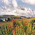 Hazelbrook Farmhouse photo 3