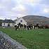Garveys Farmhouse photo 6