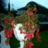 Rockfield House photo 8