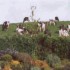 Springfield House Clonakilty photo 7