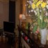 Alpine House B&B photo 2