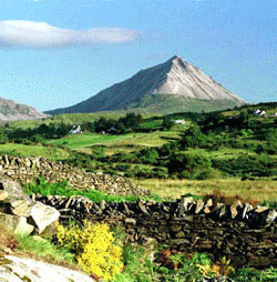 book Grand Central Bundoran