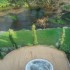 Muckross Park Hotel photo 9