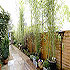 Donnybrook Hall Guesthouse photo 2
