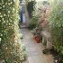 Donnybrook Hall Guesthouse photo 10