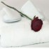 Hilamar Hotel photo 11
