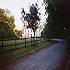 Ballymountain Farmhouse photo 8