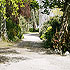 Killiane Castle photo 6