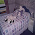 Castleview Farmhouse Kildare photo 2