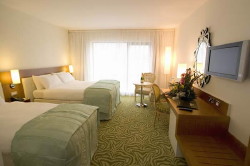 book The Harlequin Hotel