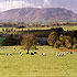 Glendale Farmhouse photo 2