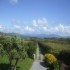 Moriartys Farmhouse Kerry photo 3