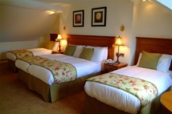 Headfort Arms Hotel - Buck Mooneys Wild West Group Package, 1