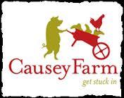 Headfort Arms Hotel - Causey Experience Summer Family