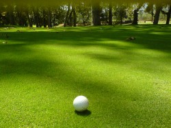Headfort Arms Hotel - The Great Golfers