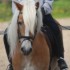 Arnolds Hotel - Donegal From the Saddle - 3 Night B&B Plus Horse Riding