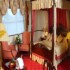 Seven Oaks Hotel photo 2