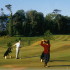 Parknasilla Hotel photo 15