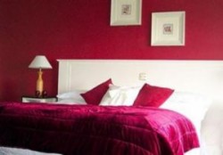 book Abbeyleix Manor Hotel