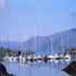 Ardagh Holiday Village photo 3