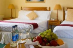 Fitzgeralds Vienna Woods Hotel - Midweek