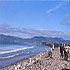 Clearwater Holiday Homes photo 6