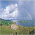 Sunnyhill Holiday Homes photo 4