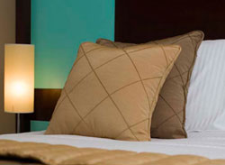 book Killeshin Hotel