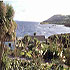 Kenmare River Holiday Cottages photo 3