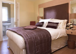 book Red Door Luxury Apartments