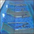 Manor West Hotel Spa & Leisure Club photo 2