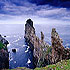 Old Cable House B&B photo 6