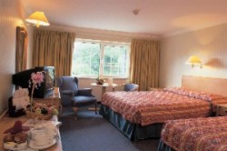 book Killarney Avenue Hotel
