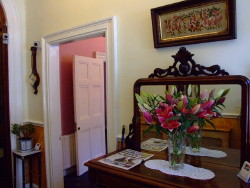 Anchor Guesthouse photo 5
