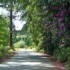 Kilcoran Lodge Hotel photo 11