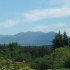 Kilcoran Lodge Hotel photo 12