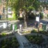 Roxford Lodge Hotel photo 7