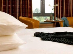 book Bewleys Hotel Leopardstown