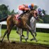 Leopardstown Racing Packag