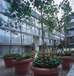 The Moorings Apartments photo 4