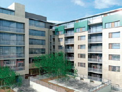 South Dock Ringsend photo 4