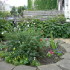 Tara Hall B&B photo 6