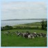 book Castlefarm B&B