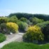 Castlefarm B&B photo 9