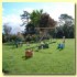 Inveraray Farm Guesthouse photo 5