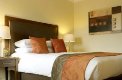 book Temple Gate Hotel Ennis