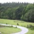 Muckross Riding Stables photo 3