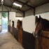 Muckross Riding Stables photo 2