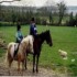 Lough Owel Lodge photo 9